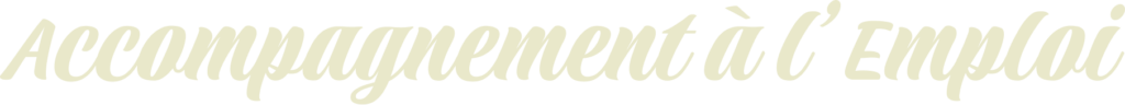 Accompagnement à l'emploi